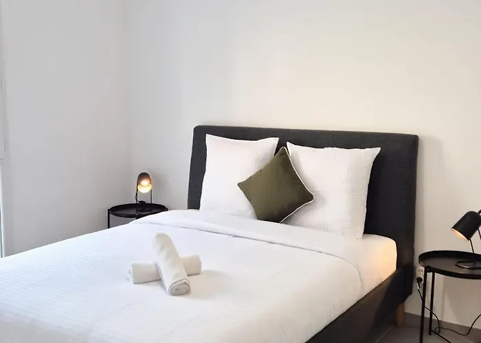 T3 Neuf Climatise Avec Parking A